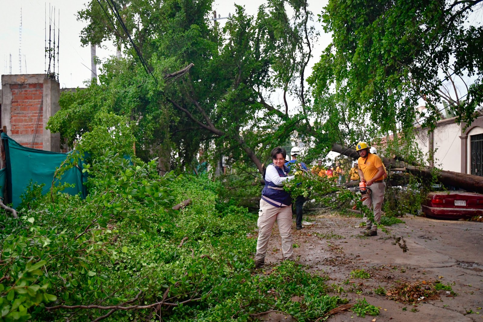 Ayuntamiento de Culiacán intensifica labores de apoyo tras las recientes lluvias