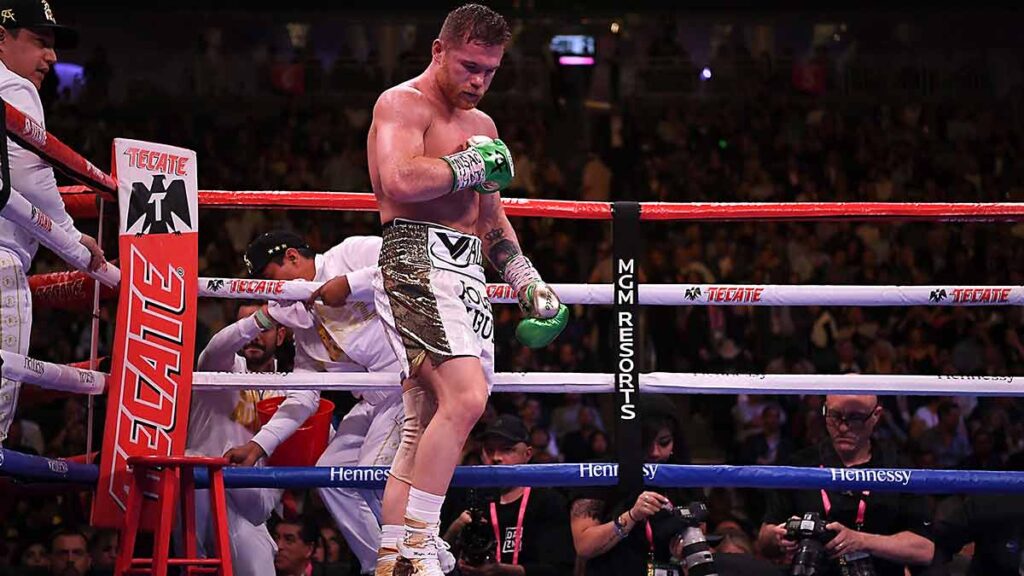 “Me voy a subir a noquear”: Canelo Álvarez