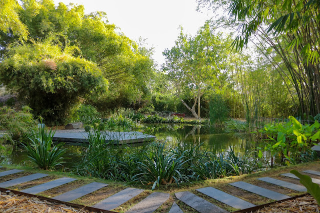 Inspirando a la Comunidad desde el Jardín Botánico de Culiacán