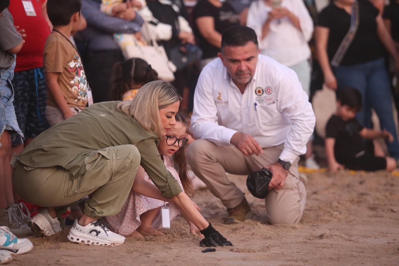 Encabeza Presidenta de Mazatlán liberación de 217 crías de tortuga golfina.