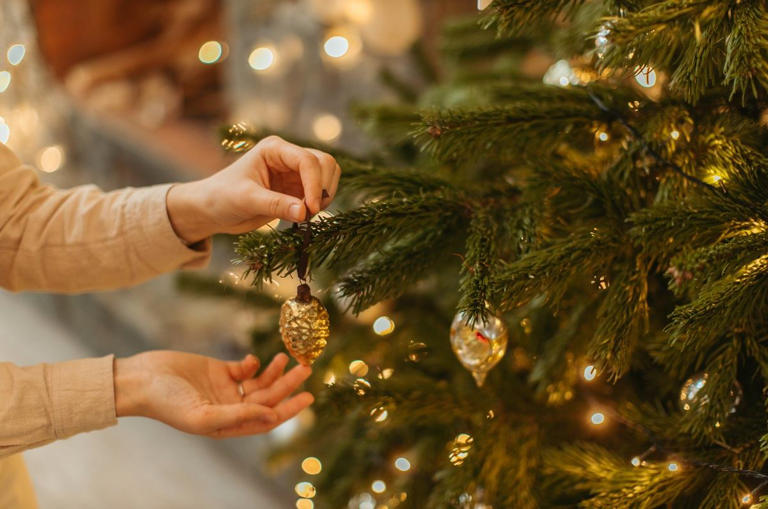 ¿Cuándo se tiene que poner el árbol de Navidad? Esto dice la tradición