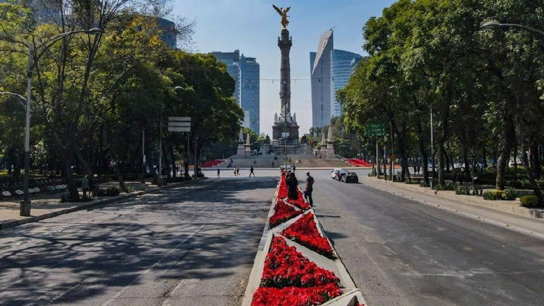 Navidad CDMX: Nochebuenas ya adornan Paseo de la Reforma