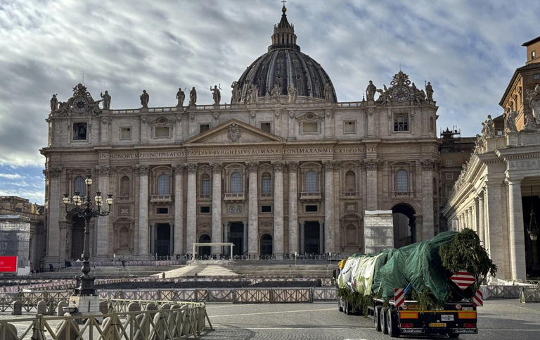 Así es el árbol de Navidad del Vaticano que su tala ha generado gran polémica