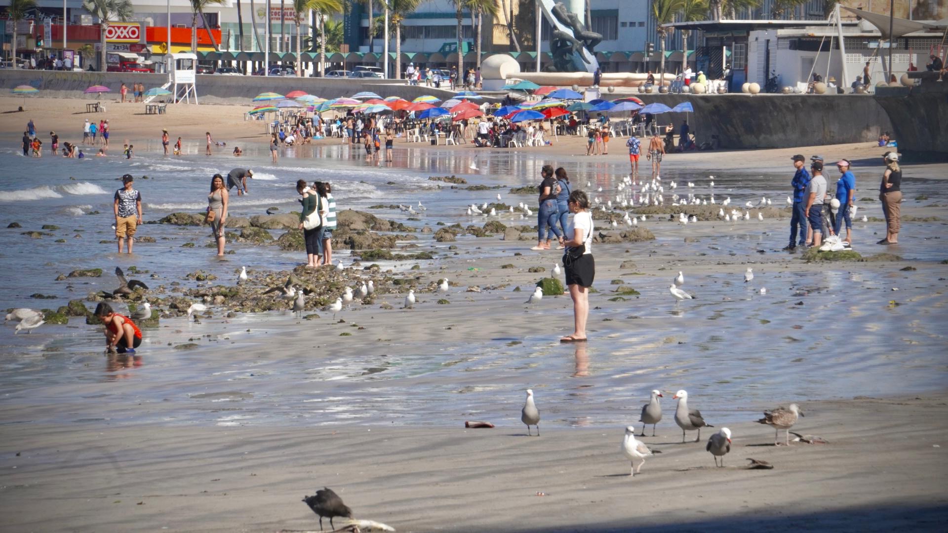 Mazatlán es el lugar preferido para vacacionar este fin de año: Sectur .