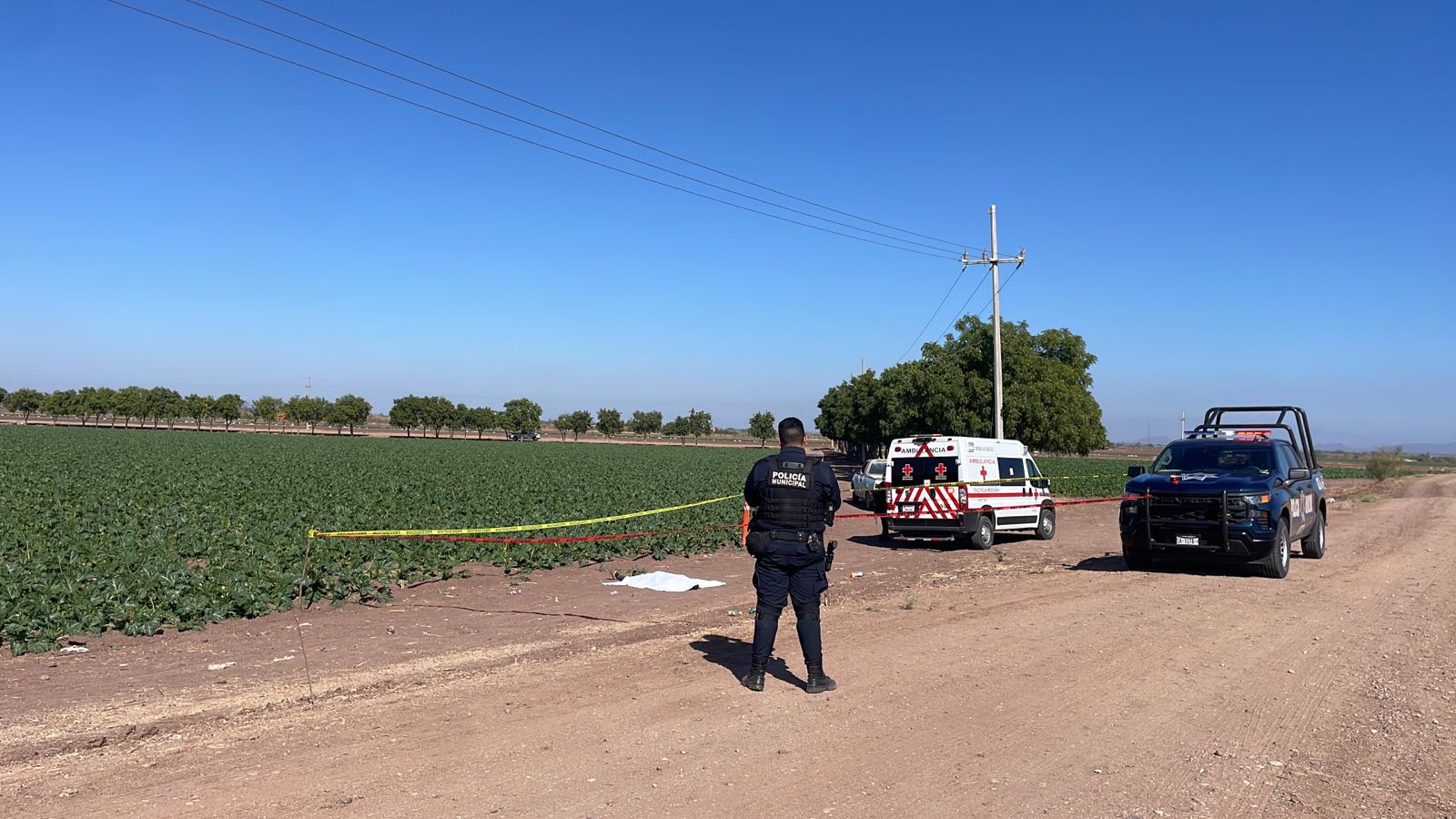 Jornalero pierde la vida al ser aplastado por camión de transporte de personal al campo